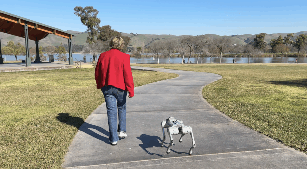 robot dog companion